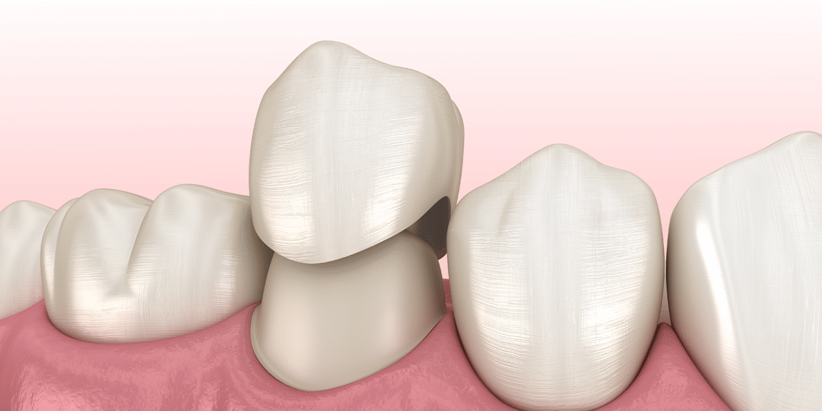 Dr Yolandi von Gericke