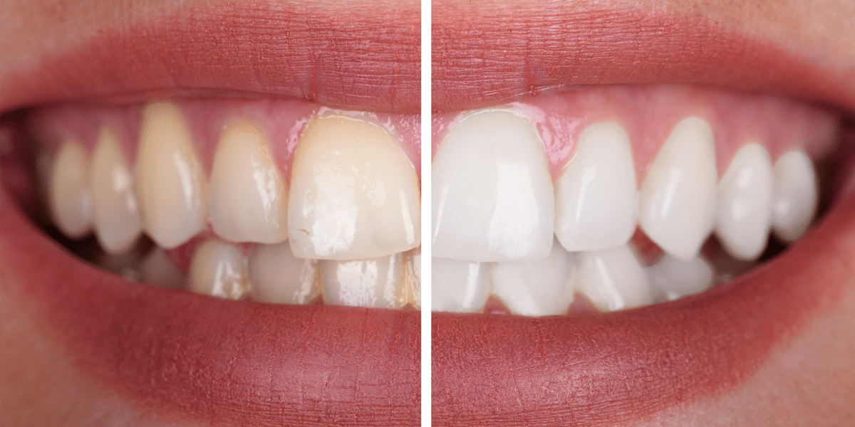 Dr Yolandi von Gericke