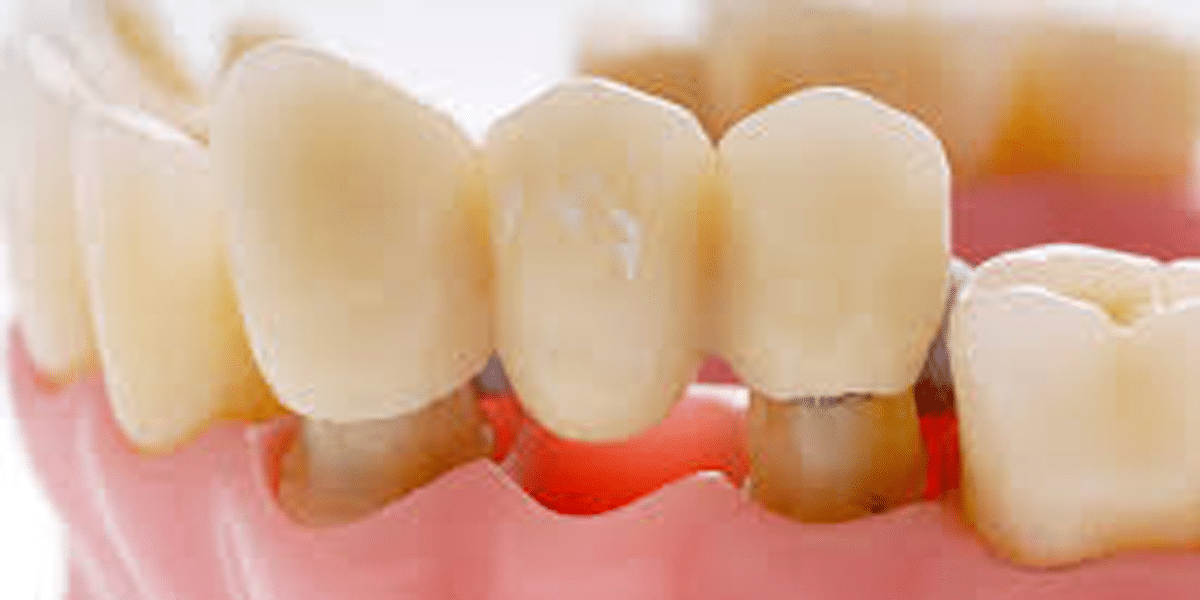 Dr Yolandi von Gericke